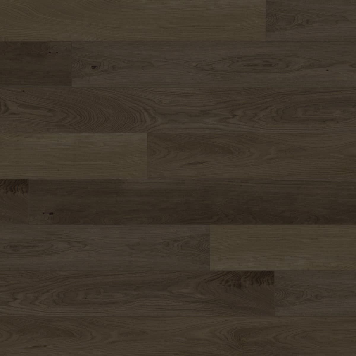 FORTE PREMIUM